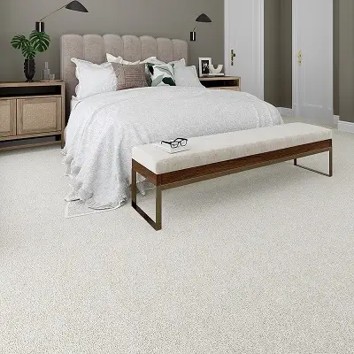 Room Carpet