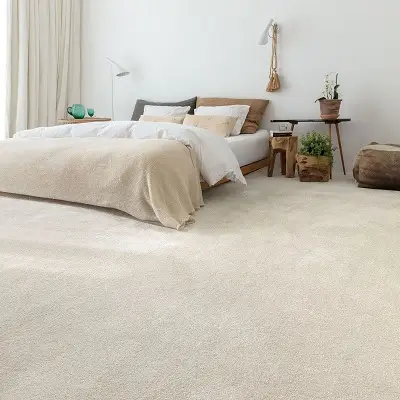 Room Carpet