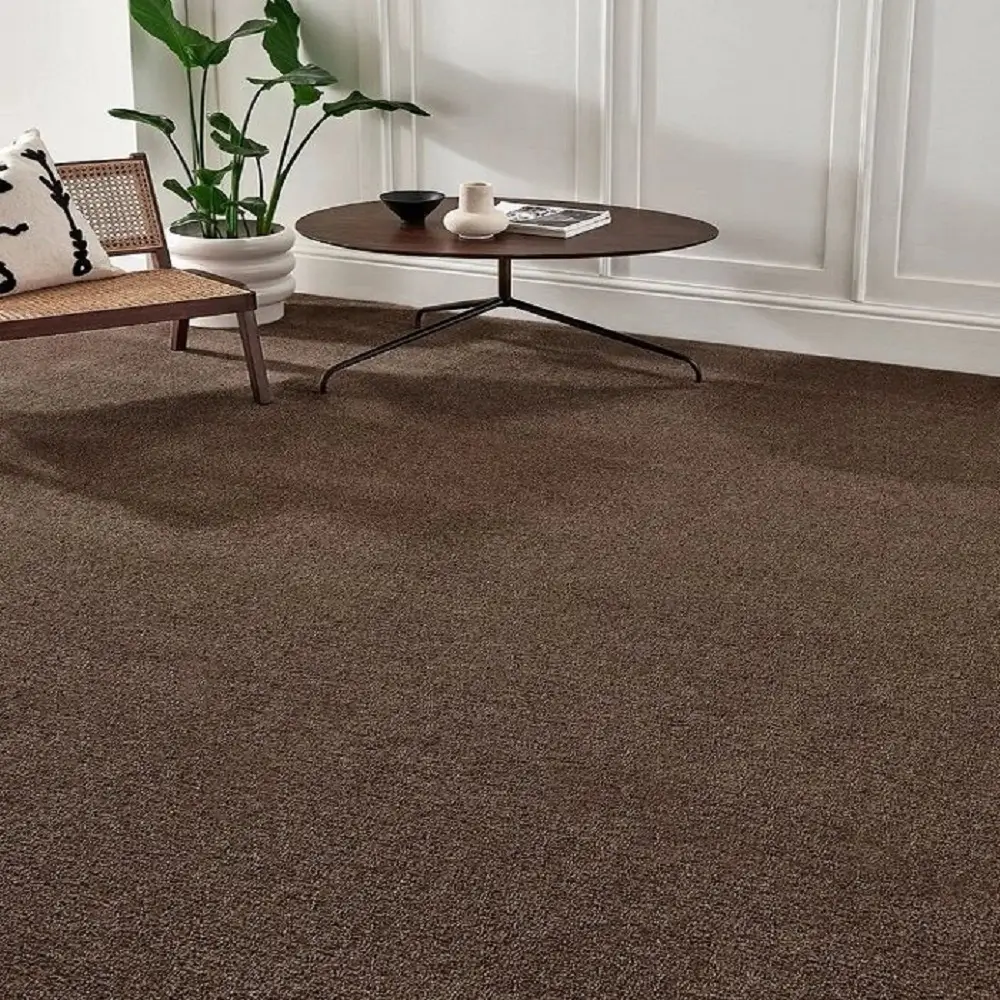 Brown Carpets