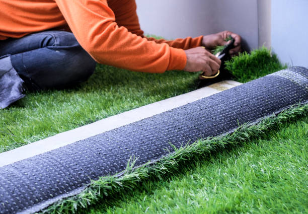 Artificial Grass vs Natural Grass