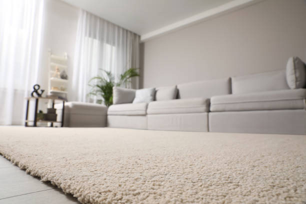 Best Carpet Shops 